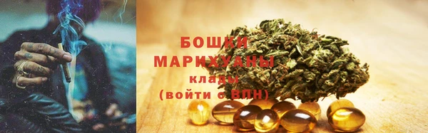 дживик Верхний Тагил