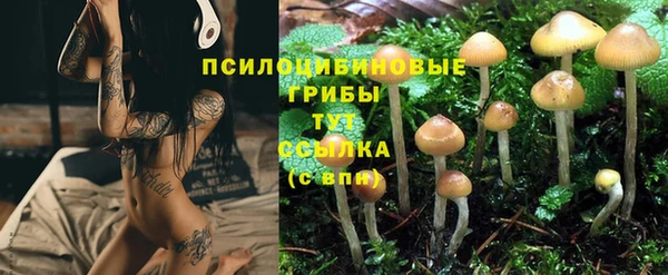 МДМА Горно-Алтайск