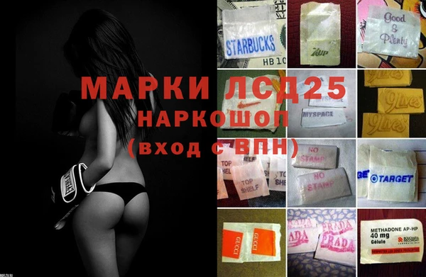 ПСИЛОЦИБИНОВЫЕ ГРИБЫ Волосово