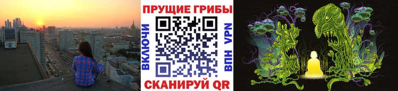 площадка наркотические препараты  закладки  Дюртюли  Галлюциногенные грибы Psilocybine cubensis 