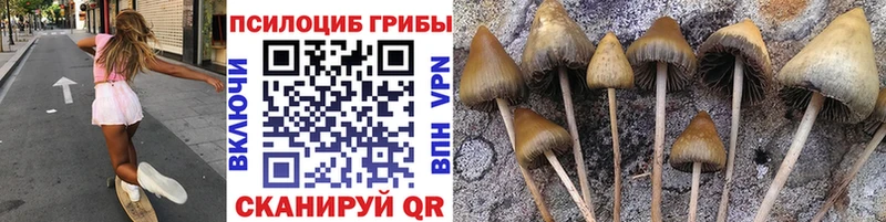Галлюциногенные грибы Magic Shrooms Дюртюли